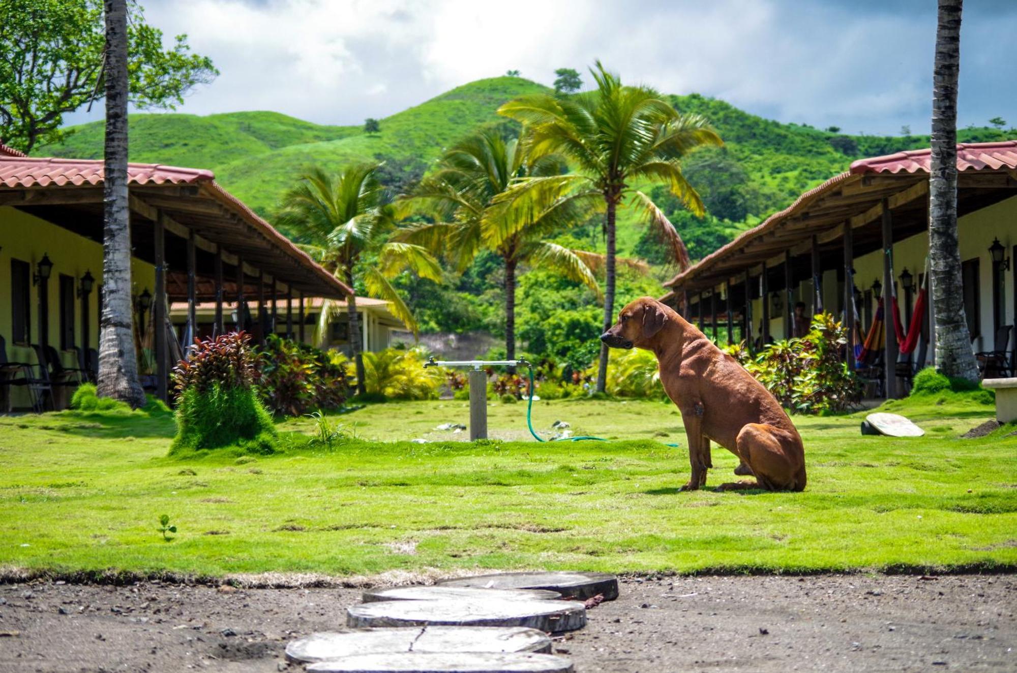 Beach Break Hotel & Surf Camp De Playa Venao Exterior photo